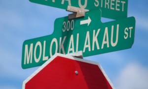 Molokaʻi ʻĀkau. Photo by Wendy Osher.