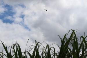 Unmanned Aerial Vehicle to be used to improve irrigation practices and crop yield at HC&S. Photo by Wendy Osher.