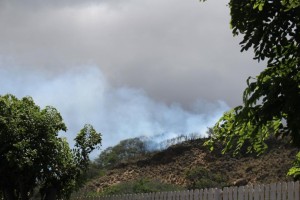 Pihana Heiau fire. Photo by Wendy Osher.