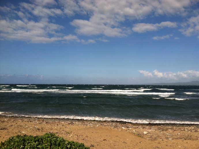 Windy conditions in Waiehu but there are some small waves. Photo: Carlos Rock.