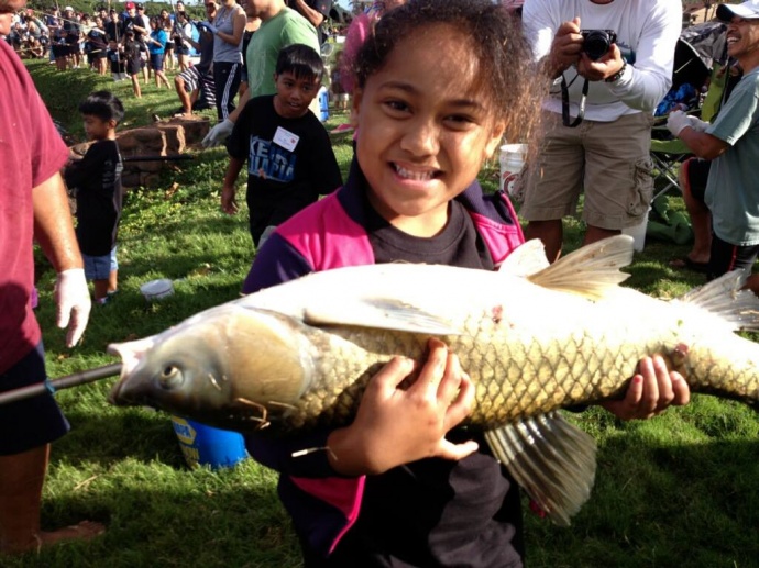 Makanani Kahaialii reeled in this huge carp during the MECO 2013 Keiki Tilapia Fishing Tournament. It was too big to weigh on the tournament scales and was returned to the pond. Makanani took home the first place prize for biggest non-tilapia fish, and possibly the biggest fish ever caught in the tornament. Kahaialii 'ohana photo.