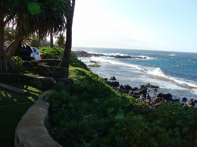 View from Mama's Fish House in Pāʻia, Maui. Photo by Wendy Osher.
