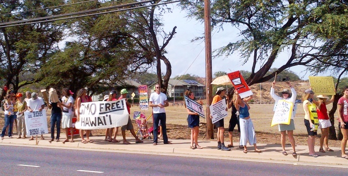 GMO Free Maui hosted a "Bee The Change" March against Monsanto on Saturday, Oct. 12, 2013, along Kaʻahumanu Avenue in Kahului.