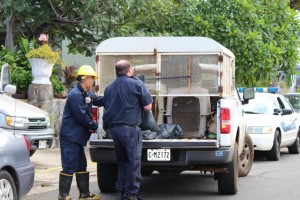 At around 11:30 a.m., fire and police investigators remained on scene.  Police were seen loading several bags with unknown contents into the back of an animal rescue truck.  Photo by Wendy Osher.