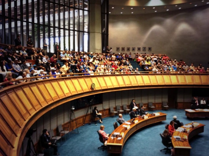 Final reading of same-sex marriage bill in the State Senate. Photo courtesy Mileka Lincoln.