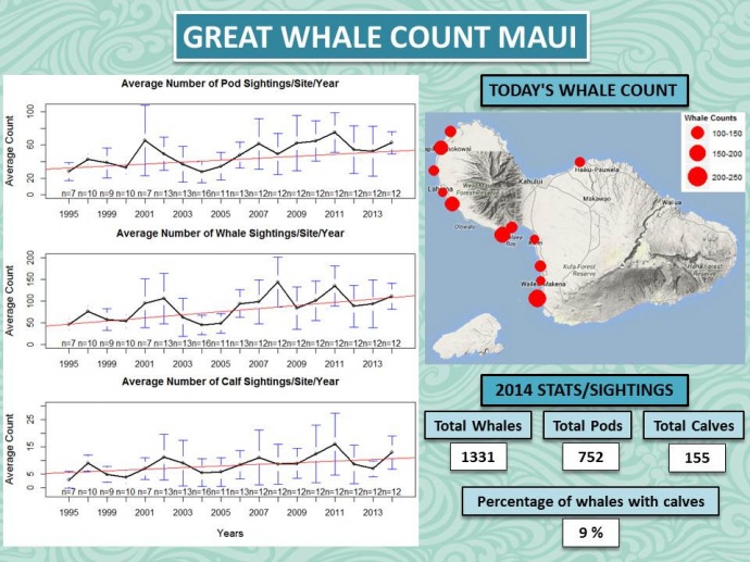 Great Whale Count 2014.