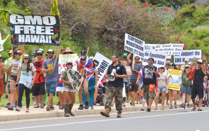More than 1,000 marchers participated in the Anti-GMO event.  Pictured at center is Dustin Barca in the camouflage pants and bullhorn.  Photo by Rodney S. Yap.