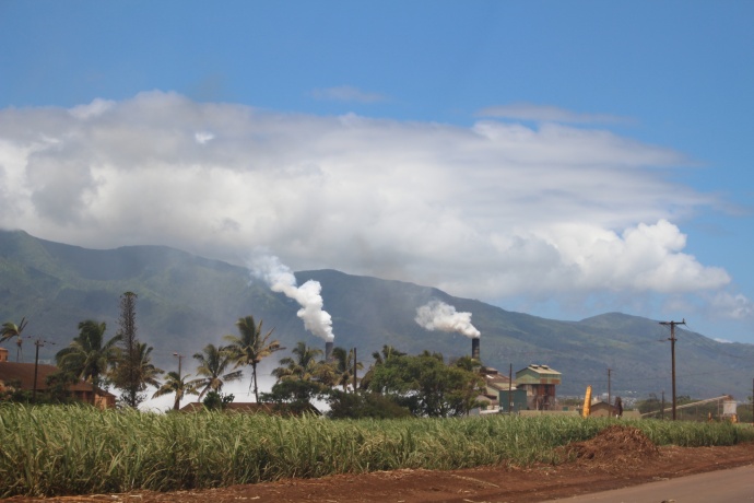 The Puunene Sugar Mill seen from Hansen Road  Photo by Wendy Osher.