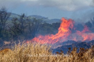 Fire located along the Piʻilani Hwy in South Maui, April 16, 2014.  Photo courtesy David Schoonover.