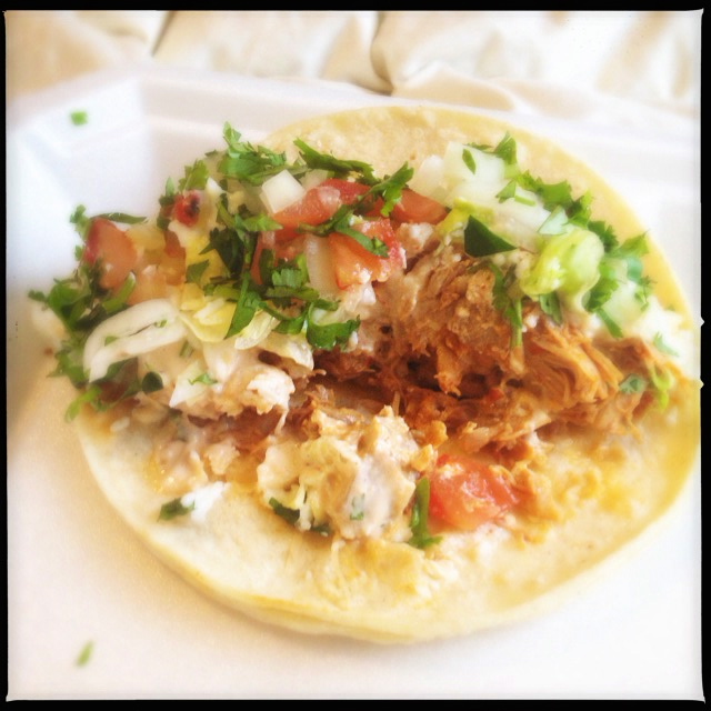 The Pollo Taco is a meal until itself. Photo by Vanessa Wolf