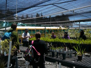 Greenhouse. Photo courtesy Haleakalā National Park.