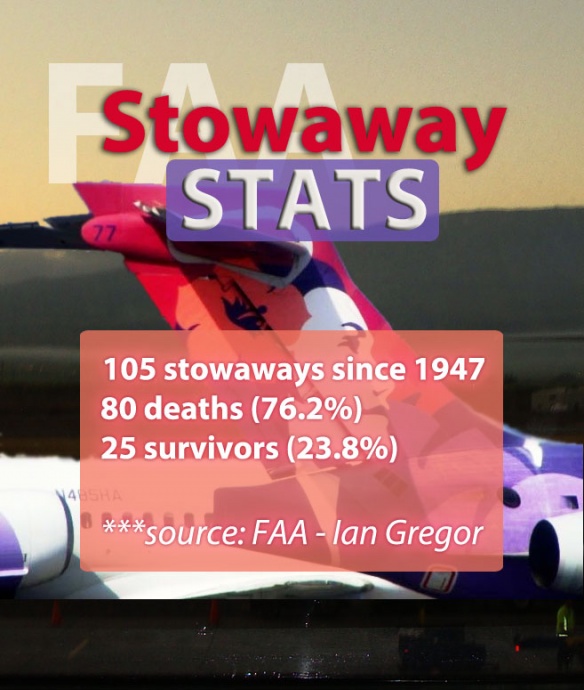 Stowaway statistics. Graphic by Wendy Osher/Maui Now.