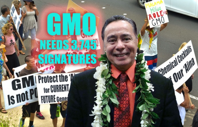 County Clerk Danny Mateo says the SHAKA Movement's GMO Petition still needs 3,745 more signatures in the next 20 days in order to be included in the November ballot. Maui Now Graphic. 