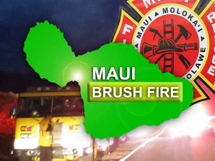 Maui Now graphic.