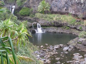 Pool at ʻOheʻo Gulch. Image courtesy Haleakalā National Park.