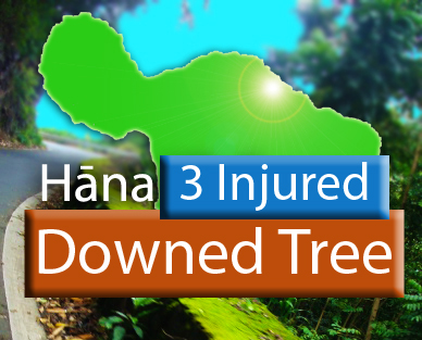 Hāna, downed tree. Maui Now graphic.