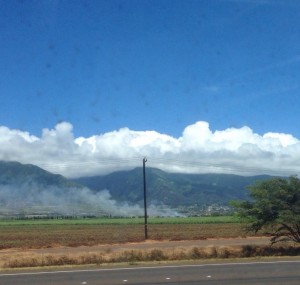 Fires near the Dunes at Maui Lani Golf Course. Photo courtesy Maura Sindel.
