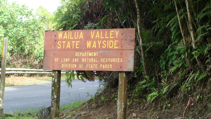 Wailua, file photo by Wendy Osher.
