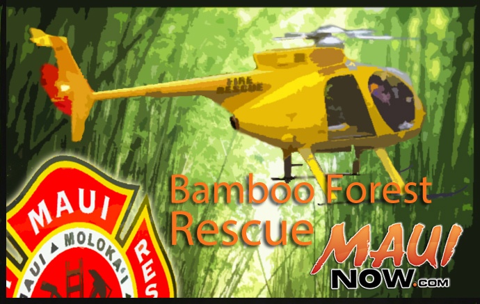 Bamboo Forest Rescue. Maui Now graphic.