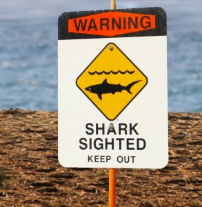 Shark warning sign. Maui Now file photo.