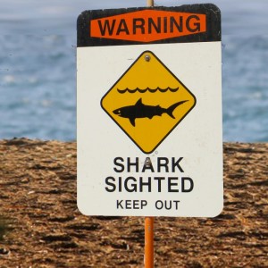 Shark warning sign. Maui Now file photo.
