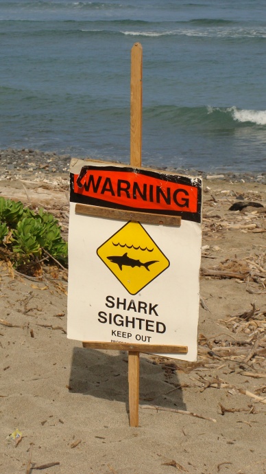 Shark sighting sign. File photo by Wendy Osher.