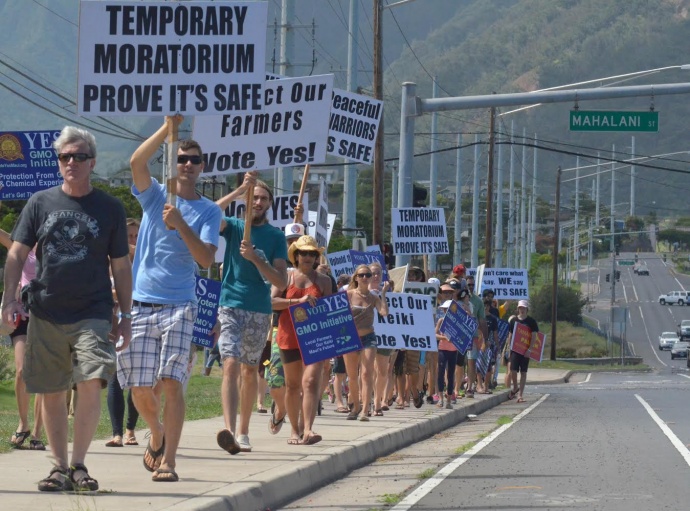 Anti-gmo march and rally in Kahului on Sunday, Oct. 26, 2014. Photo by Rodney S Yap.