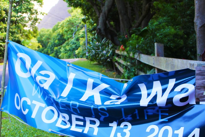 Ola I Ka Wai, Water is Life sign along ʻĪao Valley Road, marking today's water release. Photo by Wendy Osher.