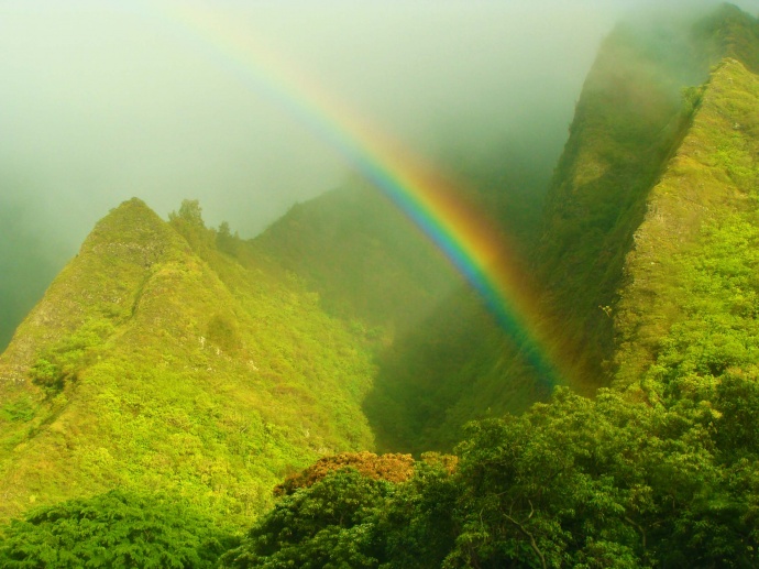 Maui rainbow, file photo by Wendy Osher.