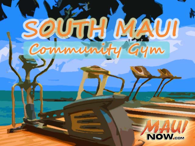 Maui Now graphic.  Maui Now graphics / not an actual rendering ... you'll have to go to the meeting to find out what parks officials have in store for the design, proposed location, and services to be offered.