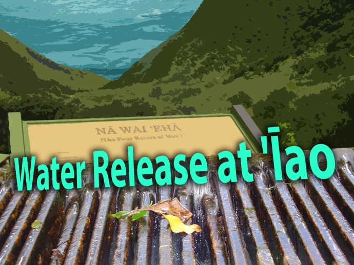 On Monday, Oct. 13, 2014 at 9 a.m., Wailuku Water Company will begin releasing 10 million gallons of water per day into ʻĪao Stream pursuant to the April 2014 Settlement Agreement in the Na Wai ‘Eha Contested Case. Graphics by Wendy Osher.