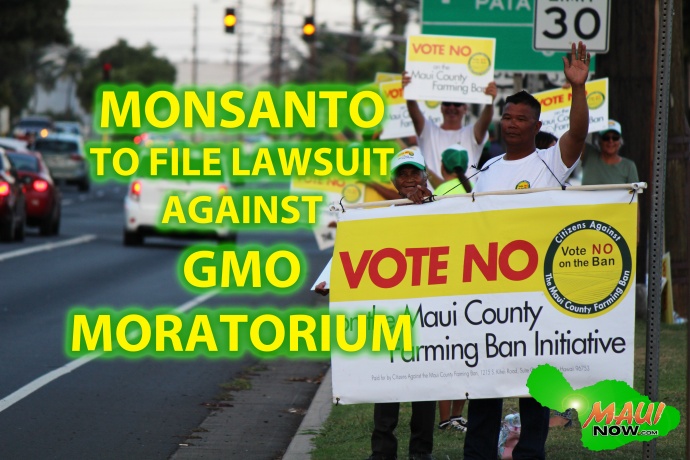 Monsanto to file lawsuit against newly passed Maui GMO moratorium. Graphics by Wendy Osher.