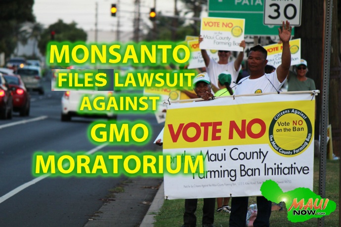 Monsanto files lawsuit against newly passed Maui GMO moratorium. Graphics by Wendy Osher.