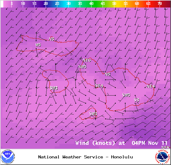 Expected winds at 4pm - Image: NOAA / NWS
