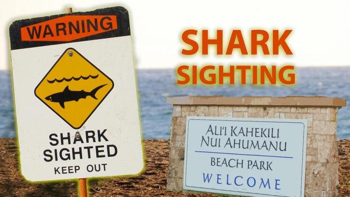 Shark sighting in West Maui. Graphics: Wendy Osher/Maui Now.