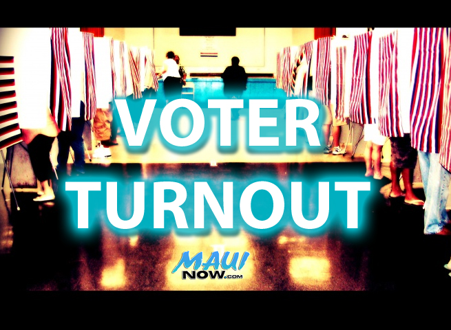 Voter turnout, graphics/image by Wendy Osher.