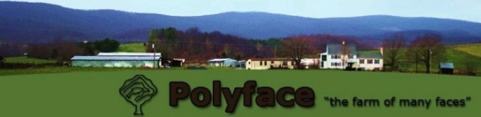 Polyface Farm is a thriving, multi-species farm in Virginia.
