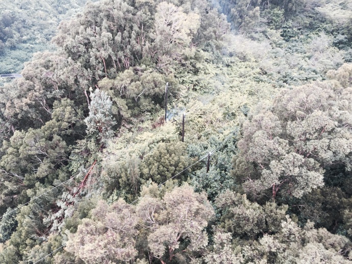 A large tree brought down electrical lines and damaged a pole on a ridge in Keanae cutting power to about 100 customers in Keanae and Nahiku.  The remote area is only accessible by helicopter and Maui Electric crews are currently on the scene.  However, due to the extent of the damage and location of the lines and pole, affected customers are asked to be prepared to be without power until tomorrow afternoon. Photo credit: Maui Electric.