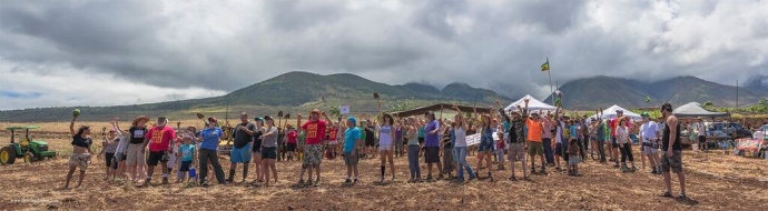Maui Outgrow Monsanto Event, 5.23.15. Photo credit Darren McDaniel.