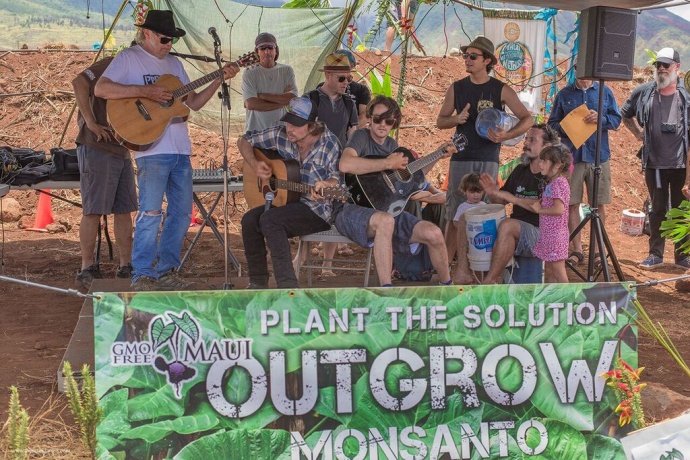 Maui Outgrow Monsanto Event, 5.23.15. Photo credit Darren McDaniel.