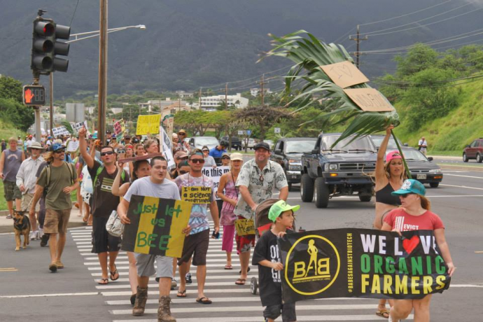Anti-GMO rally. File photo credit: Rise Up Maui.