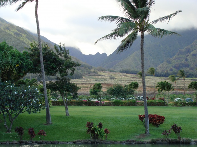 Waikapū landscape from the Maui Tropical Plantation.
