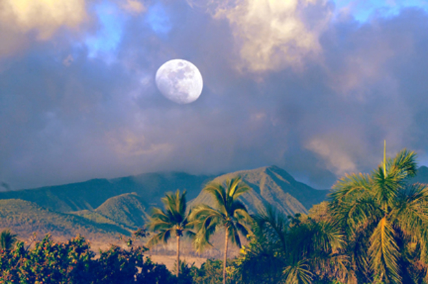 Moonrise over West Maui in summer. Courtesy photo, credit: Joanne West Photography.