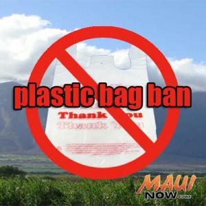 Plastic Bag Ban. Graphic by Wendy Osher.