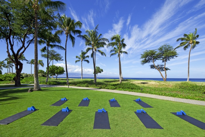 svo5647ag-142876-Beach Lawn Yoga