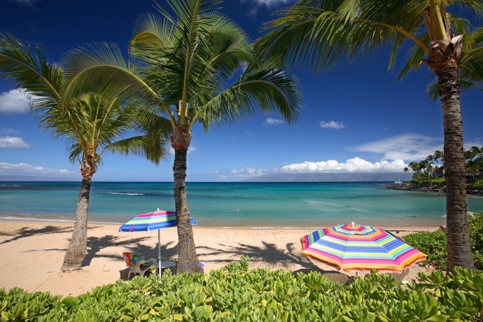Napili Bay, Maui. Courtesy photo.