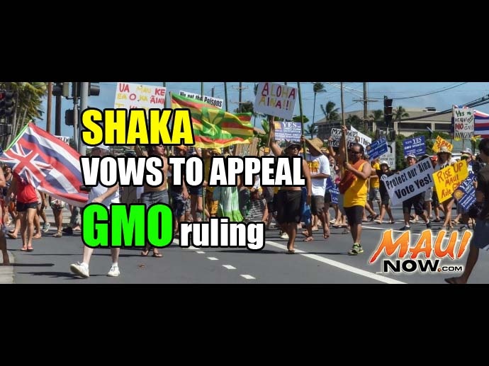 Shaka Movement vows to appeal GMO ruling. Graphic by: Wendy Osher/Maui Now. Background file photo by Rodney S Yap.