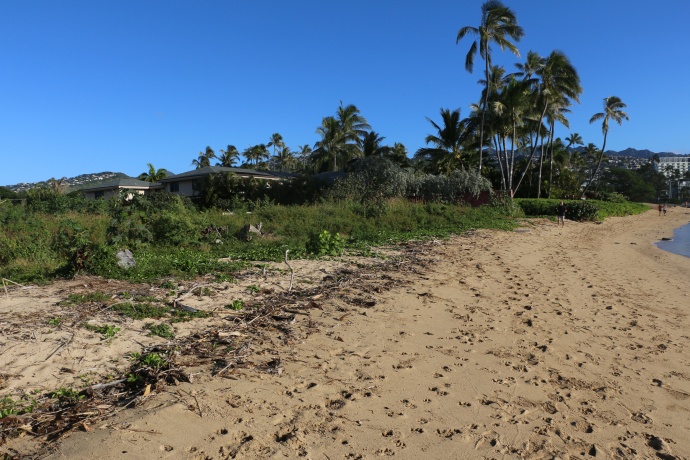 Photo credit: Hawaiʻi Department of Land & Natural Resources.