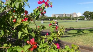 Kāʻanapali Golf Course. Photo by Kiaora Bohlool.