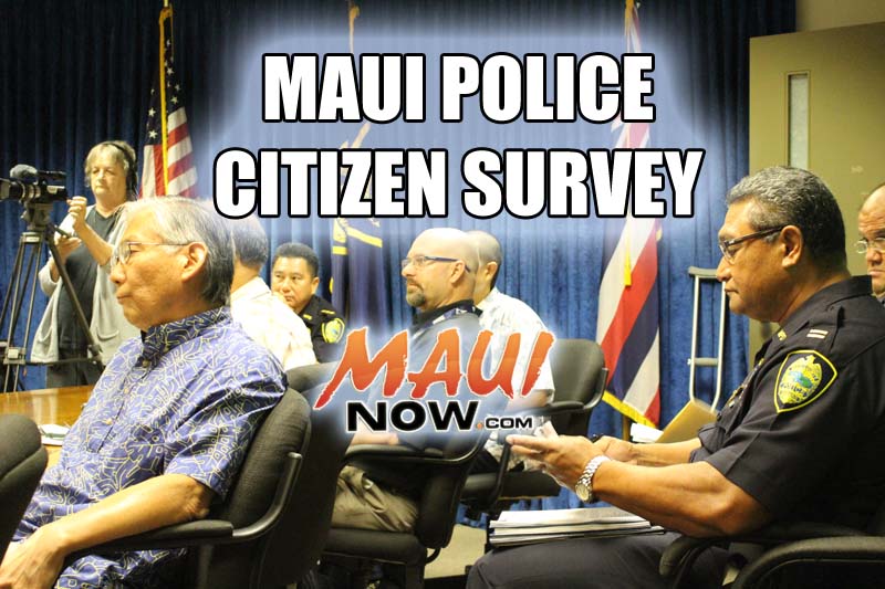 Maui Police Citizens Survey. Wendy Osher/Maui Now graphic.
